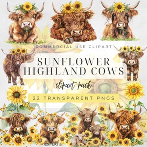 Aquarell Sonnenblume Highland Cows Clipart, süße Highland Cows Clipart, Baby Highland Cow Clipart, schottische Kuh, Frühling Highland Cows