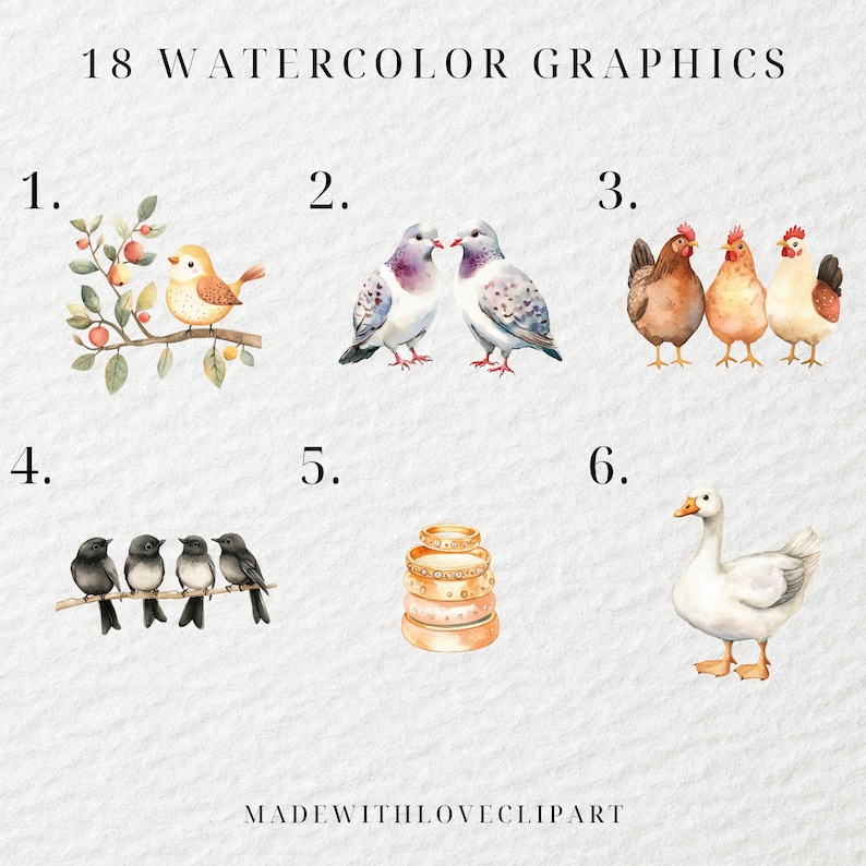 Watercolor 12 Days of Christmas Clipart, Twelve Days of Christmas ...