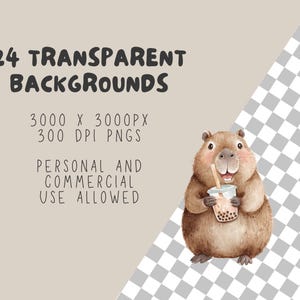 Op de afbeelding: Waterverfillustratie van een bruine capibara met een bubble tea. De afbeelding bevat tekst die luidt "24 Transparent Backgrounds" en "Personal and Commercial Use Allowed."
