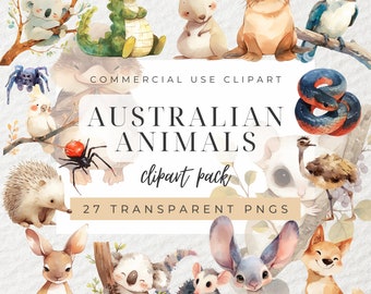 Akvarell australiska djur clipart paket, djur clipart, söta djur clipart, australiska djur, koalabjörnar, känguru, baby clipart, PNG