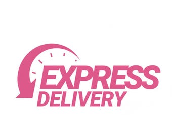 Express Delivery