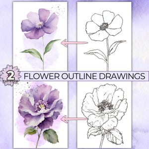 Overzichtstekeningen paarse bloem om te schilderen, aquareltekeningcontouren, kleurplaat violette bloem, traceerbare afdrukbare sjabloon