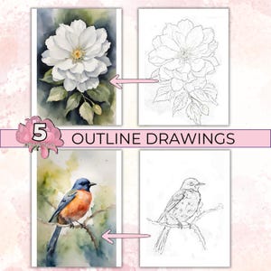 Overzichtstekeningen om te schilderen, aquareltekeningcontouren, vogelkleuroverzicht, bloemkleurplaat, landschapstekening schets afdrukbaar