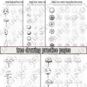 May include: Tree drawing practice pages featuring sketches of trees from different perspectives. Includes exercises for tree elevation, top view, and tracing. The words "tree drawing practice pages" are written across the image.