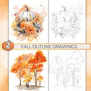 May include: Four autumn-themed drawings. The top left shows a watercolour painting of pumpkins and flowers. The top right shows a line drawing of pumpkins and foliage. The bottom two images depict watercolour trees, one in colour and one in outline. Text reads "FALL OUTLINE DRAWINGS".