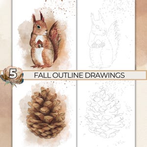 Dibujos de contornos de otoño para pintar, contornos de dibujos de acuarela, página para colorear de paisaje de bellota de ardilla de otoño, plantilla imprimible trazable