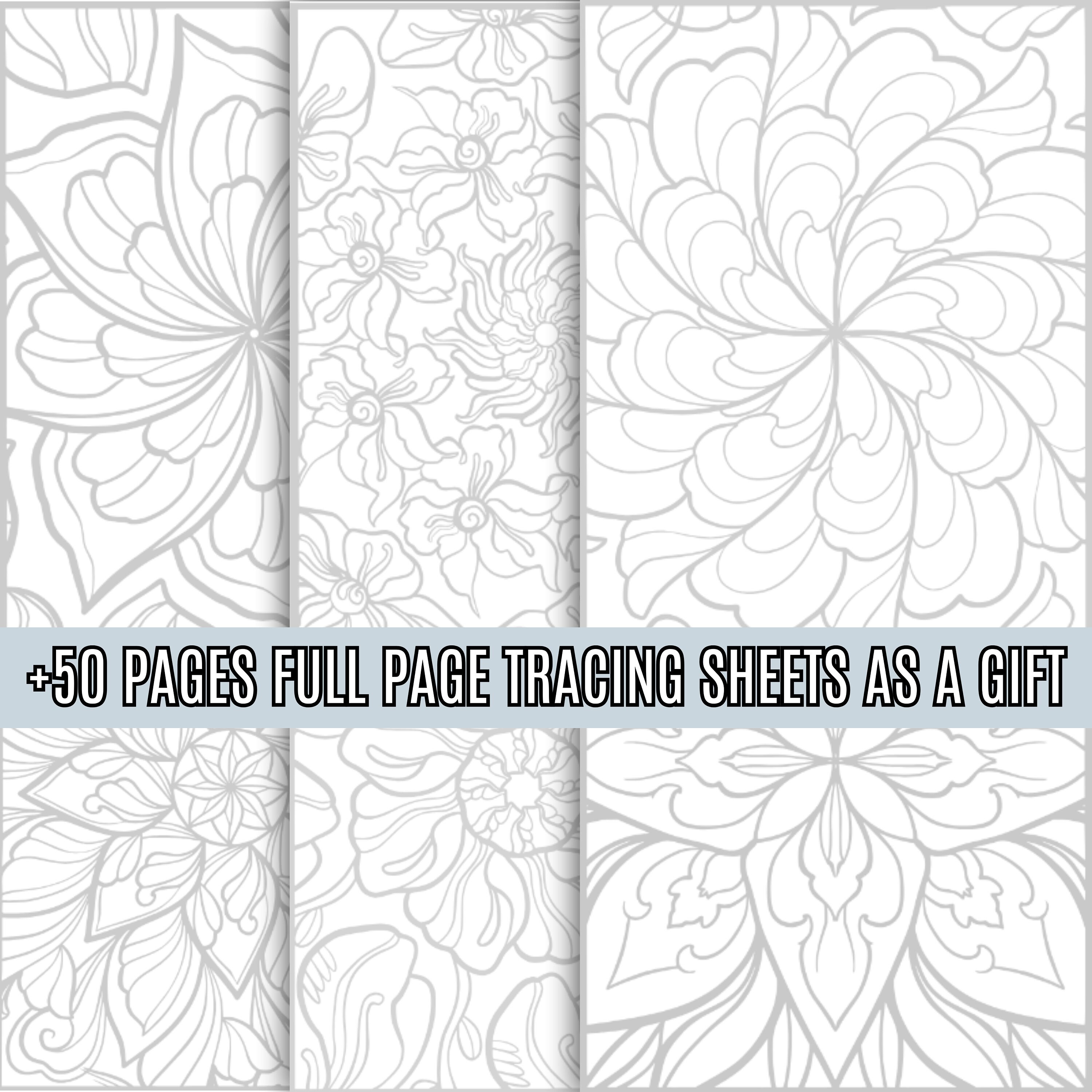 Mandala Art Training Sheets Mandala Pattern Practice Sheet Mandala ...