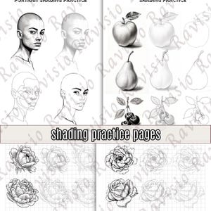 May include: Black and white shading practice pages featuring portraits, apples, pears, cherries, peonies, and roses. The text "shading practice pages" is visible. The illustrations range from detailed shading to outline drawings.