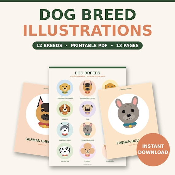 Dog Breed Illustrations Printable Pack, 12 Dog Breeds Wall Art Poster & Flashcards, Cute Dog Portraits, Instant Download PDF
