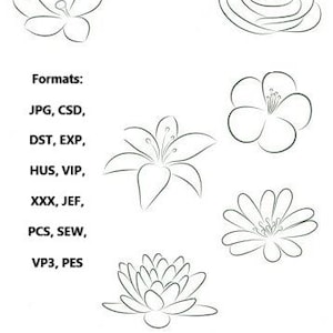 Può includere: Una collezione di sei disegni in bianco e nero di diversi fiori. I fiori includono un giglio, una rosa, un loto e altri tre fiori.