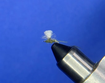 12x Trockenfliegen Teil 2
