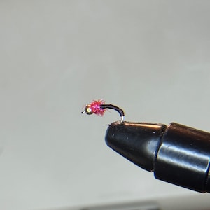 Fly Tying Nymphs 