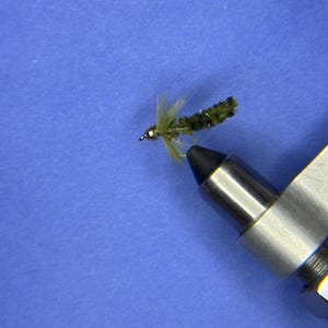 May include: A green and black fly fishing lure with a bead head and a green and black body.