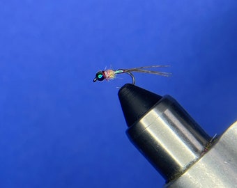 12x Regenbogen Kriegerinnen