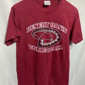 Vintage Desert Oasis Volleyball T-shirt Size S