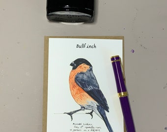 Bullfinch greetings card