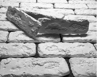 Polyurethane Mold "Boston Brick" for 18 cells for Gypsum Decorative Tiles FREE Shipping!