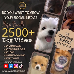 The Ultimate Dog Video Bundle | 2500 Videos  No Watermarks No Copyright Issues  Ready for Social Media Use | Reels Perfect for Social Media