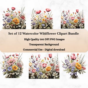 Aquarelle fleurs sauvages Clipart, PNG floral Cottagecore, marguerites, coquelicots, cosmos, lavande, rose, lot de fleurs botaniques, téléchargement immédiat