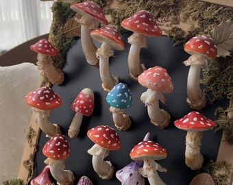 Whimsical Clay Mushroom Magnets for Your Fridge/Blackboard