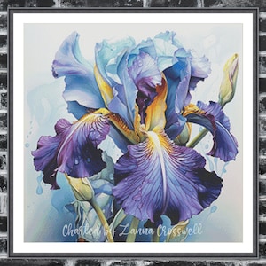 Può includere: Un dipinto ad acquerello incorniciato di un vibrante fiore di iris. Il fiore presenta sfumature di viola, blu e giallo, con goccioline d'acqua visibili sui petali. Il testo "Charted by Lanna Crosswell" è in basso a sinistra.