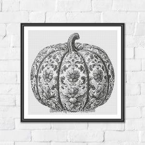 May include: A framed black and white illustration of a pumpkin featuring intricate floral and botanical patterns across its surface. The artwork is presented in a thin black frame, showcasing detailed line work and shading throughout the design.