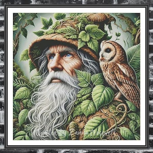 May include: A framed print featuring a detailed illustration of an elderly man with a long white beard and blue eyes, wearing a hat adorned with leaves. An owl perches beside him, surrounded by lush green foliage. The artwork has a fantasy theme.