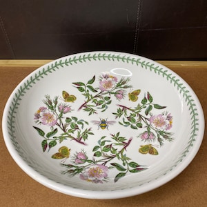 Vintage Portmeirion Botanischer Garten 13 ”Rosa Canina Große Pasta Schüssel Servierschüssel