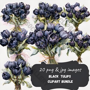 Watercolor black tulips Clipart | Flower Clipart Bundle | black tulips clipart Images Scrapbooking | Junk Journal | Commercial License