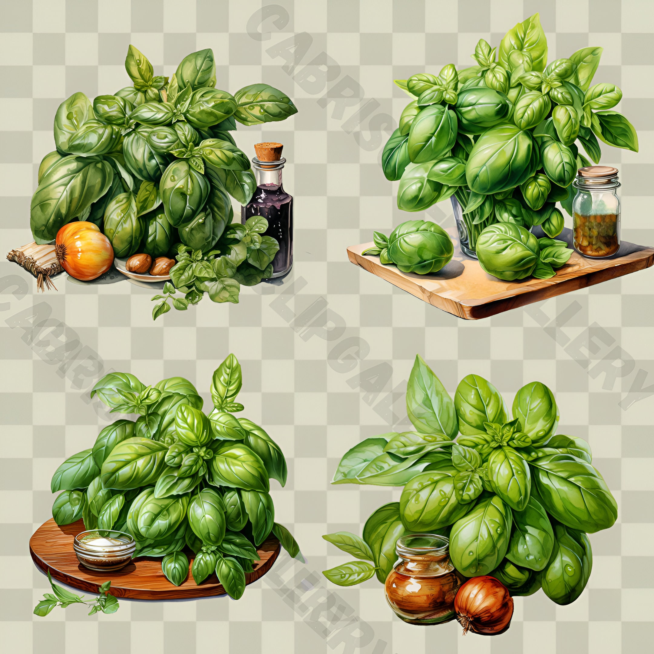 Watercolor Basil Clipart 20 High Quality PNG and JPG Food Clip Art ...