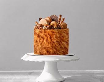 May include: A cylindrical cake with a textured orange and brown fur-like pattern on the sides. The top is decorated with brown macarons, chocolate spheres, wafer rolls, and small piped frosting swirls, all arranged on a white pedestal stand.