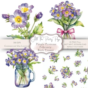Birth Month Flower February Purple Primrose PNGs Watercolour Clipart Bundle Purple Primrose Repeat Patterns Junk Journal Scrapbooking