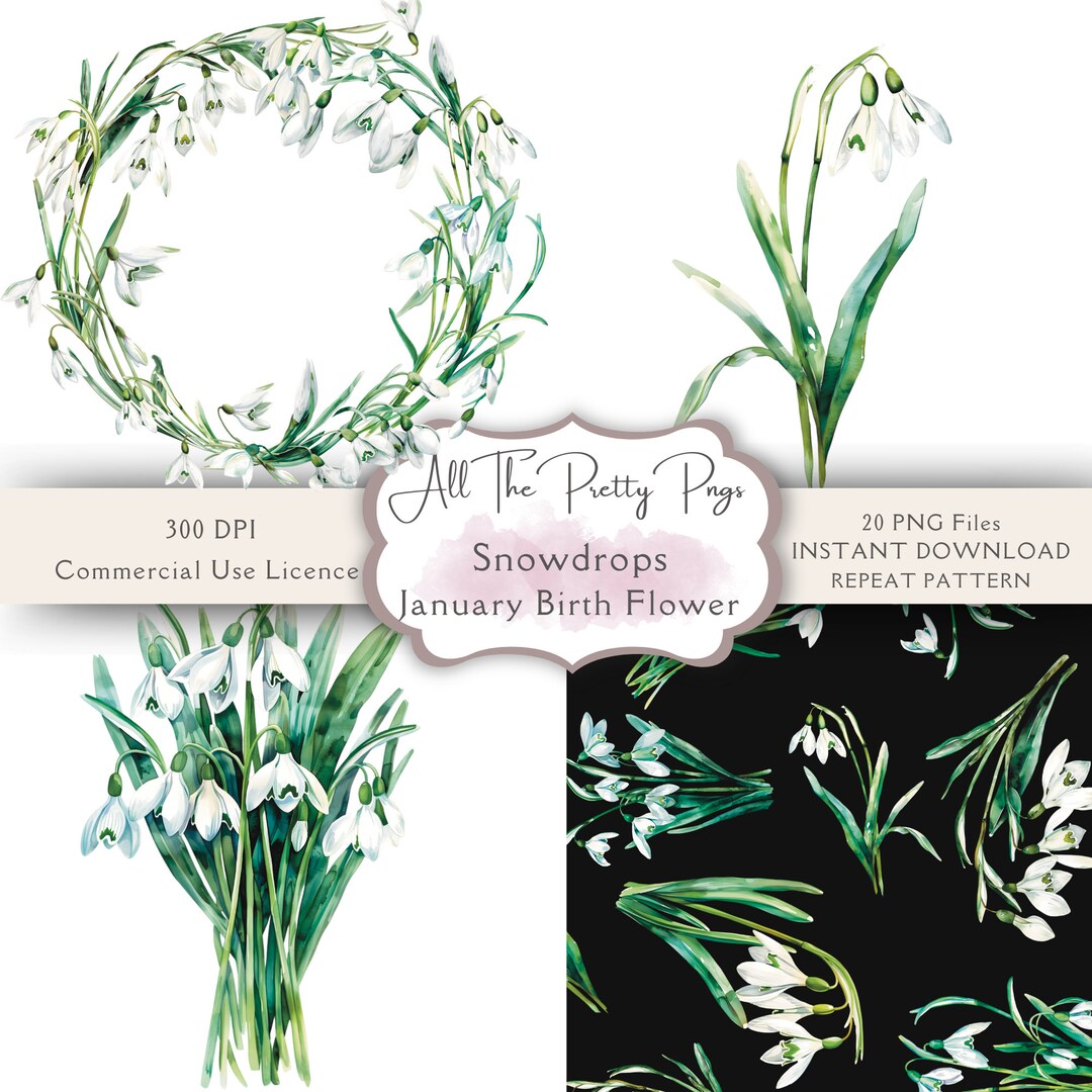 Snowdrops Birth Month Flowerjanuary PNG Watercolour Clipart Bundle ...