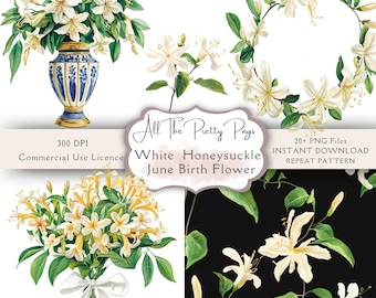 Födelsemånad Blomma Juni Vit Kaprifol PNGs Akvarell Födelseblomma Kaprifol Clipart Bundle Upprepade Mönster Journaler Scrapbooking