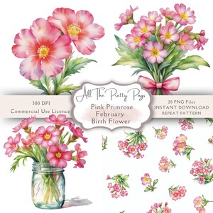 Birth Month Flower February Pink Primrose PNGs Watercolour Clipart Bundle Pink Primrose Repeat Patterns Junk Journal Scrapbooking Clipart