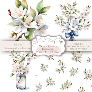 Geburt Monat Blume März weiße Kirschblüten PNGs PNGs Aquarell Geburt Blume Clipart Bundle Rapportmuster Junk Journal Scrapbooking