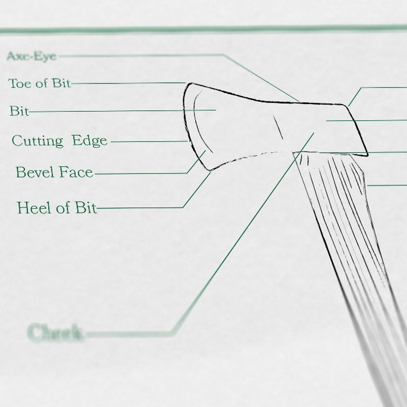 Axe Anatomy Diagram 8.5x11 Quality White Cardstock Etsy
