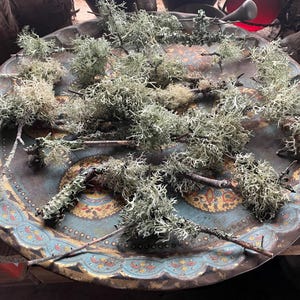 Könnte beinhalten: Eine dekorative Metallschale im antiken Stil mit blau-goldener Bemalung. Die Schale ist mit Zweigen aus hellgrünem und beigem Flechten gefüllt, was eine natürliche, rustikale Ästhetik erzeugt. Die Anordnung deutet auf ein dekoratives oder handwerkliches Thema hin.