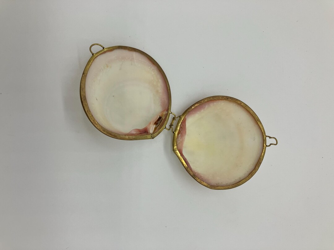 Vintage Hand Soldered / Polished Sea Shell Trinket Dish/container - Etsy