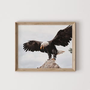 Bald Eagle Taking Flight Print, Majestic American Decor, Wildlife Photography, Bald Eagle Printable Art, Nature Wall Art, Bald Eagle Poster