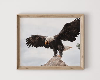 Bald Eagle Taking Flight Print, Majestic American Decor, Wildlife Photography, Bald Eagle Printable Art, Nature Wall Art, Bald Eagle Poster