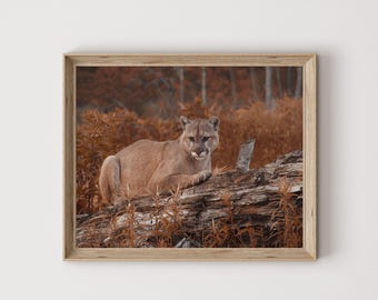 Arte de pared de puma en otoño, decoración de cabañas, fotografía rústica, arte digital de puma, impresión de la naturaleza, arte imprimible de vida salvaje