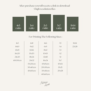 Peut inclure: Un tableau montrant diff&eacute;rents rapports d'aspect pour les images num&eacute;riques et leurs tailles d'impression correspondantes en pouces et en centim&egrave;tres. Le tableau comprend des rapports comme 4x5, 3x4, 2x3, 5x7 et 11x14. Les tailles d'impression vont de 4x5 pouces &agrave; 40x60 centim&egrave;tres.