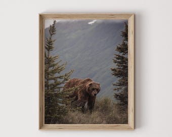 Impression d'ours grizzly de la forêt, art mural grizzly du Montana, photographie de la faune, ours pendant l'orage, impression de paysage du Montana, affiche d'ours grizzly