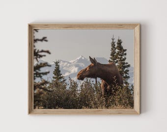 Woodland Moose Wall Art, Nature Home Decor, Rustic Moose Poster, Moose In Forest Printable, Alaskan Moose Wall Decor, Moose Photography