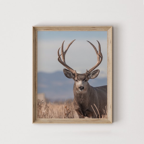 Nevada Mule Deer Poster, High Desert Wildlife Print, Sky Island Scenery, Trophy Mule Deer Wall Art, Nevada Deer Printable, High Desert Deer