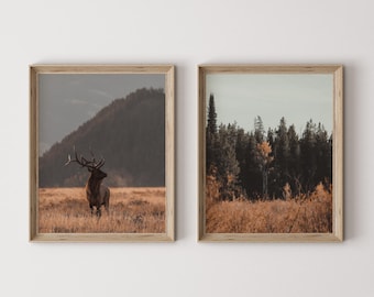 Lot de 2 impression Western Montana, photographie de wapiti, décoration d'intérieur nature, art imprimable rustique, décoration nature moderne, affiche de wapiti du Montana, impression de wapiti