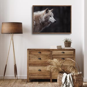 Peut inclure: Un portrait rapproch&eacute; d'un loup blanc sur un fond sombre. Le loup regarde vers la droite du cadre, la t&ecirc;te l&eacute;g&egrave;rement inclin&eacute;e. La fourrure du loup est douce et moelleuse, et ses yeux sont per&ccedil;ants.