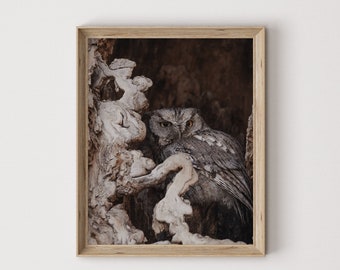 May include: A close-up of a grey owl perched in a tree with a weathered, light brown bark. The owl's eyes are open and staring directly at the camera.