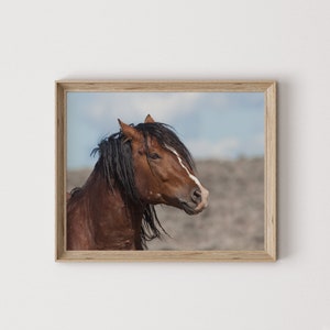 Bay Stallion Wild Horse, Utah Desert Poster, Desert Wildlife Print, Western Mustang Print, Wild Horse Wall Art, Western Horse Poster